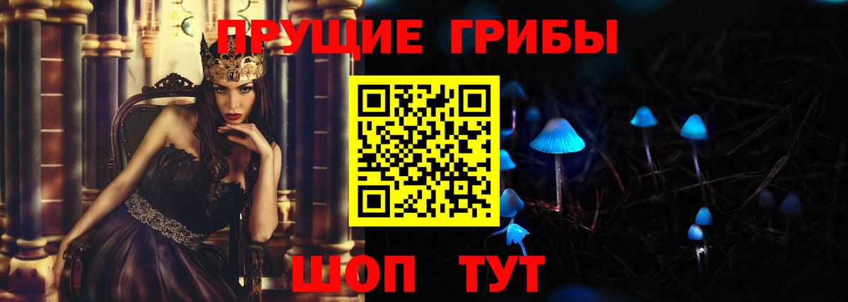 Галлюциногенные грибы прущие грибы  Вход с VPN  Павлово 
